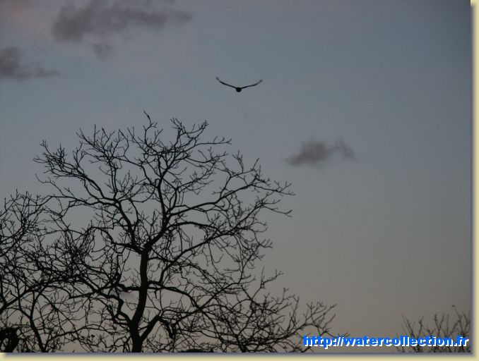 Diapositive suivante